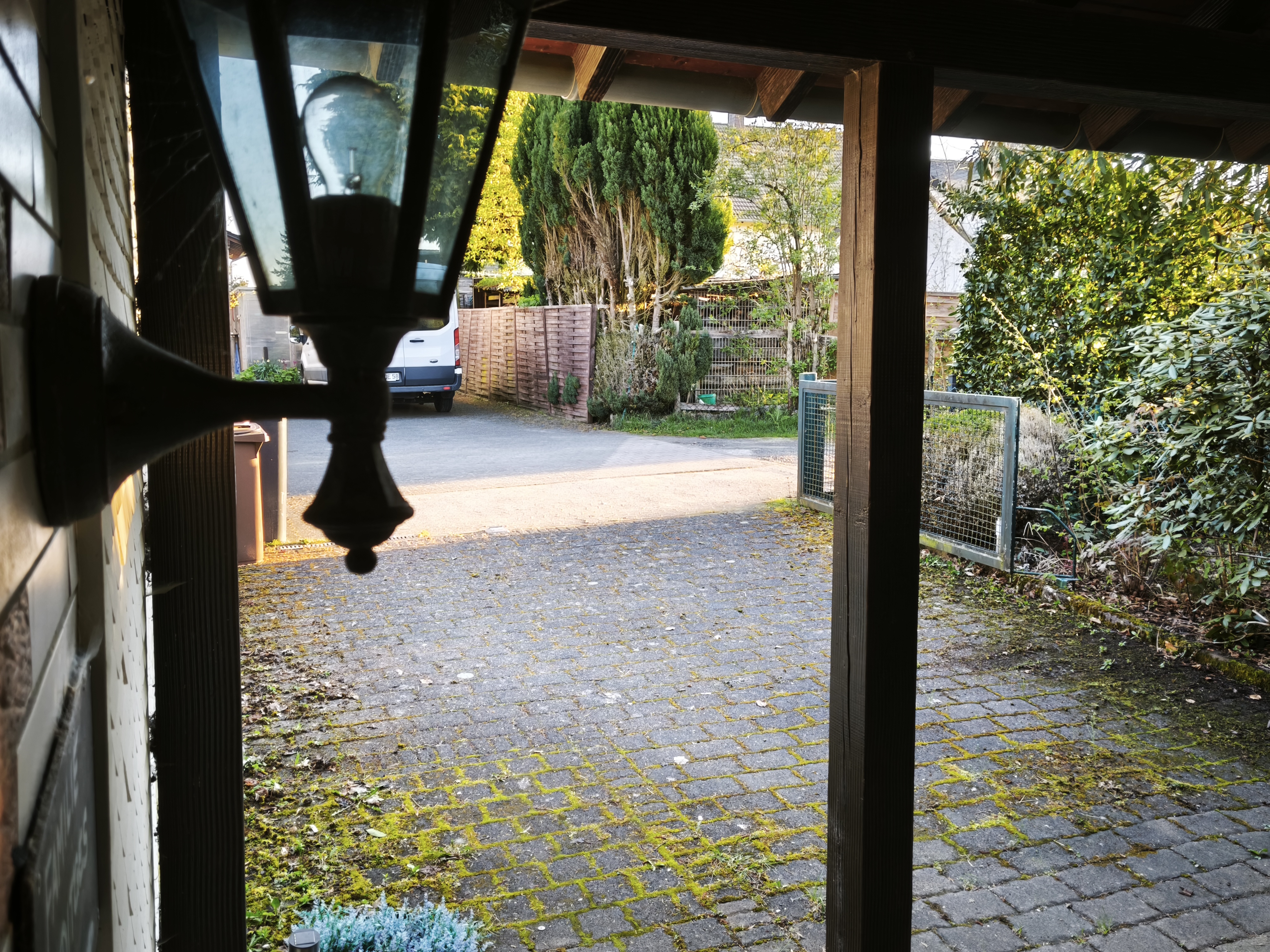 Haus kaufen Schauren - Außenansicht Waldrandlage